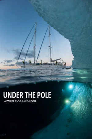 Постер: Under The Pole : Lumière Sous l'Arctique