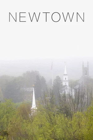 Постер: Newtown