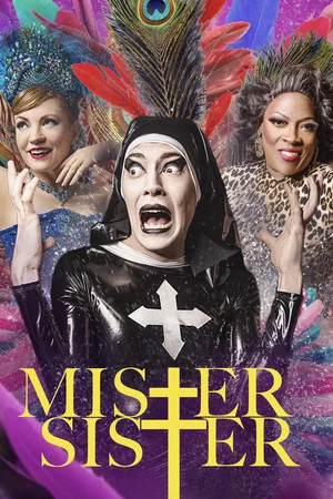 Постер: Mister Sister