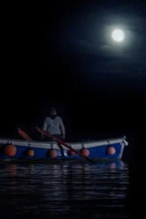 Постер: The Mermaid of Mevagissey