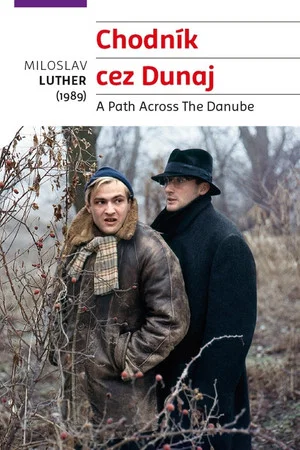 Постер: Путь через Дунай