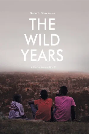 Постер: The Wild Years