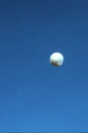 Постер: Weather Balloon, Feathered Balloon