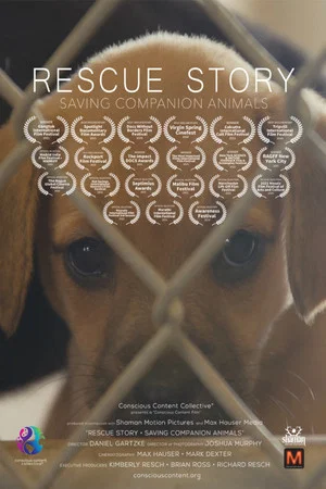 Постер: Rescue Story - Saving Companion Animals