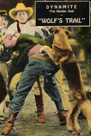 Постер: Wolf's Trail