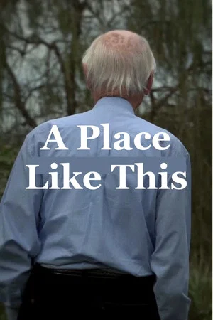 Постер: A Place Like This