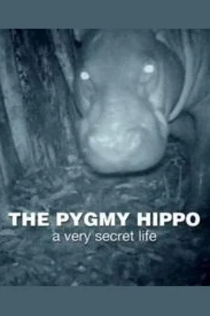 Постер: The Pygmy Hippo: A Very Secret Life