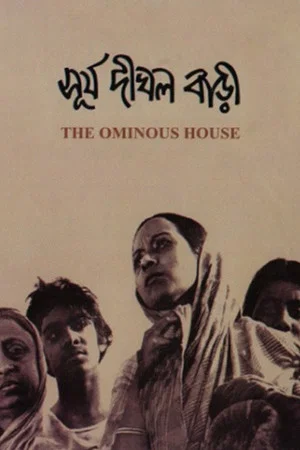 Постер: The Ominous House