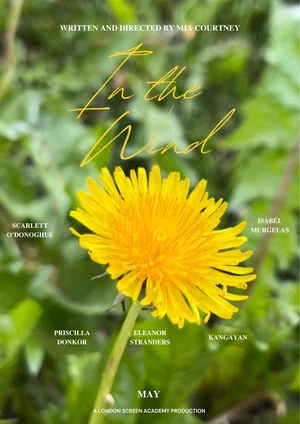 Постер: In The Wind