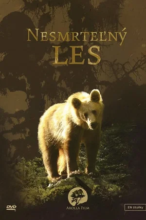 Постер: Secrets of the Carpathians: The Immortal Forest