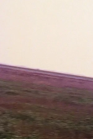 Постер: Dutch Mountain