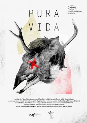 Постер: Pura Vida