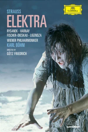 Постер: Elektra