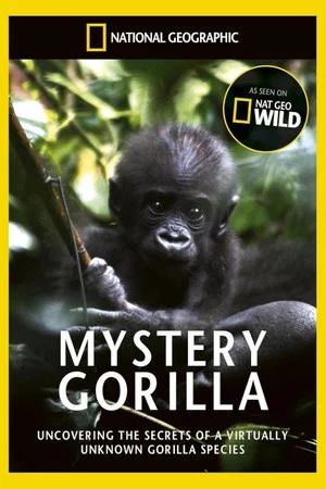Постер: De mystiske gorillaer
