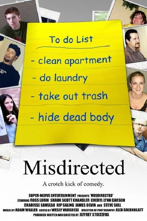 Постер: Misdirected