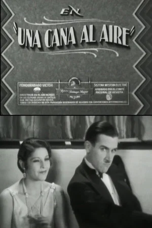 Постер: A gray in the air