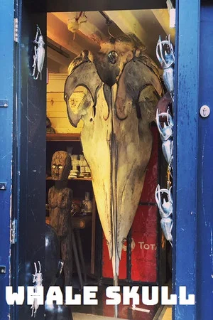Постер: Whale Skull