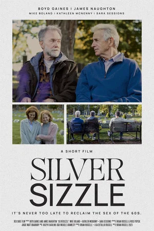Постер: SilverSizzle