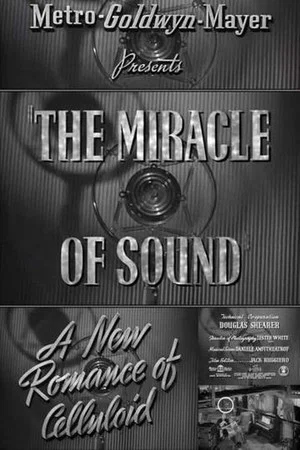 Постер: A New Romance of Celluloid: The Miracle of Sound