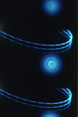 Постер: Pasteur³