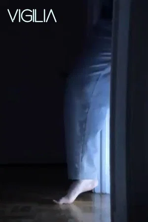 Постер: Vigilia