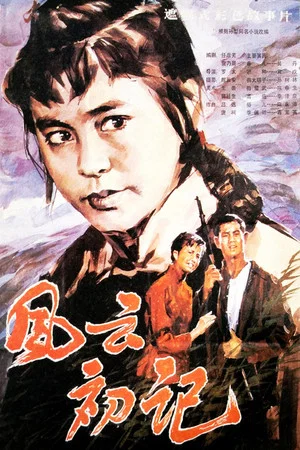 Постер: 风云初记