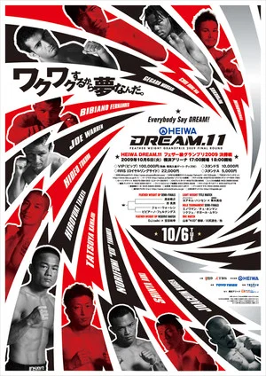 Постер: DREAM 11