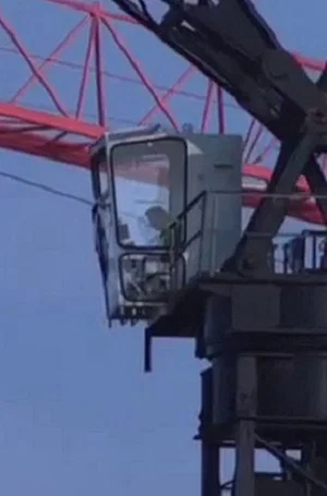 Постер: City of Cranes