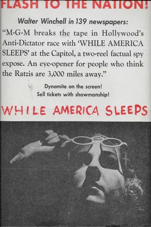 Постер: While America Sleeps