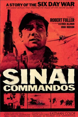 Постер: Sinai Commados