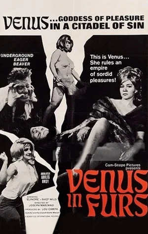 Постер: Venus in Furs