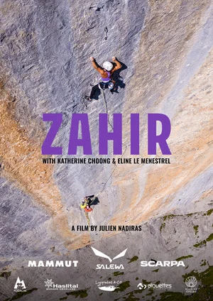 Постер: Zahir