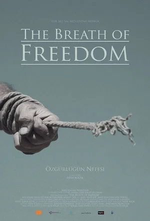 Постер: The Breath Of Freedom