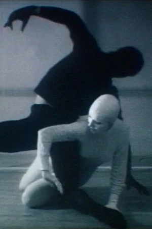 Постер: Rhythm of Two Figures