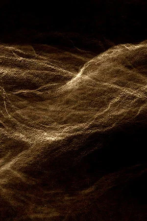 Постер: Trackless Lines