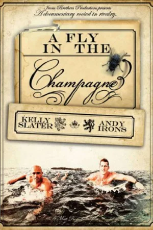 Постер: A Fly in the Champagne