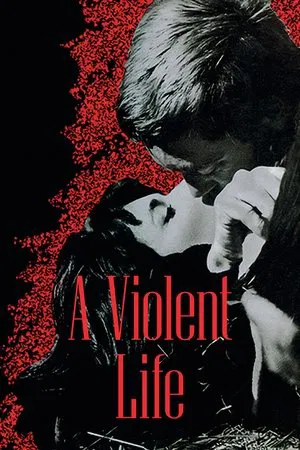 Постер: Violent Life