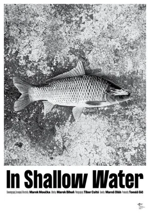 Постер: In Shallow Water