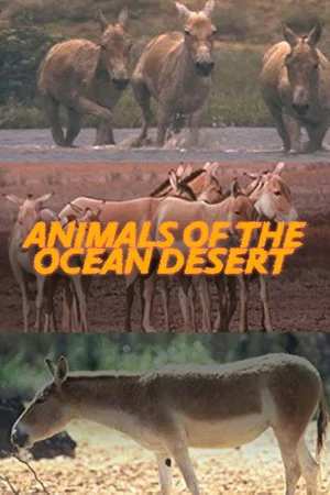 Постер: Animals of the Ocean Desert