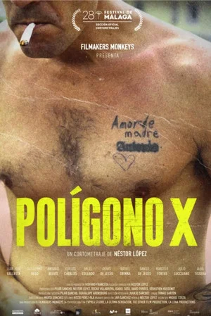Постер: Polígono X