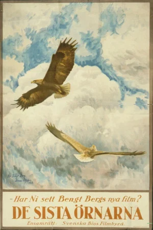 Постер: The Tale of the Last Eagles