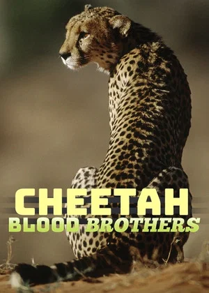 Постер: Cheetah Blood Brothers