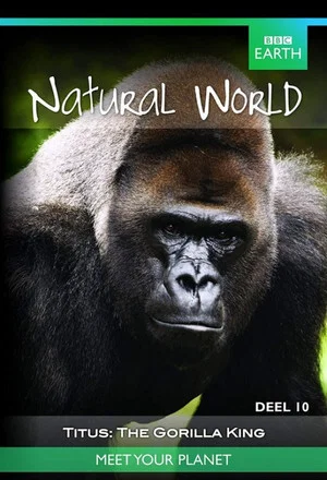 Постер: Titus: The Gorilla King