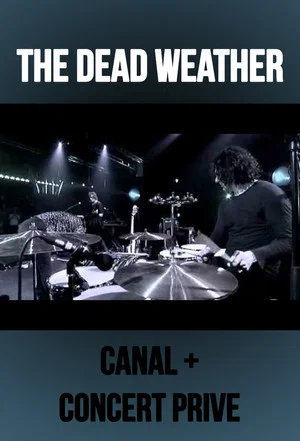 Постер: The Dead Weather: Live at Concert Prive, Canal +