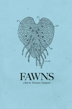 Постер: Fawns