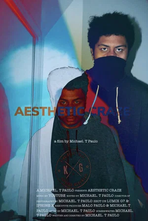 Постер: Aesthetic Craze