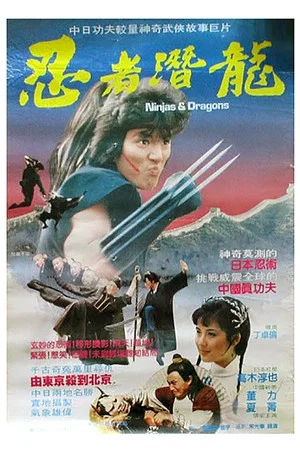 Постер: Ninjas and Dragons