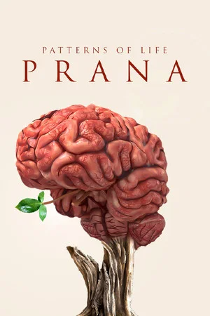Постер: Patterns of life: Prana