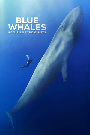 Постер: Blue Whales: Return of the Giants