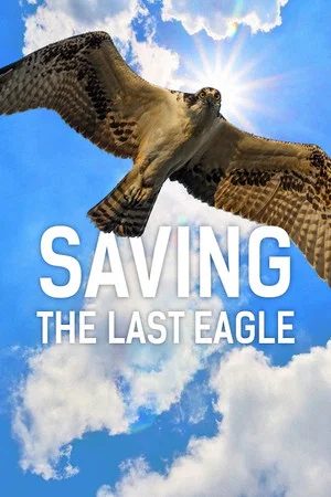 Постер: Saving The Last Eagle